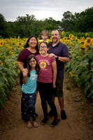 Sunflower Event Knott Family