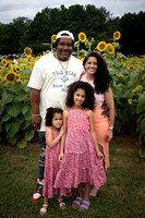 Sunflower Event  Gillette Family